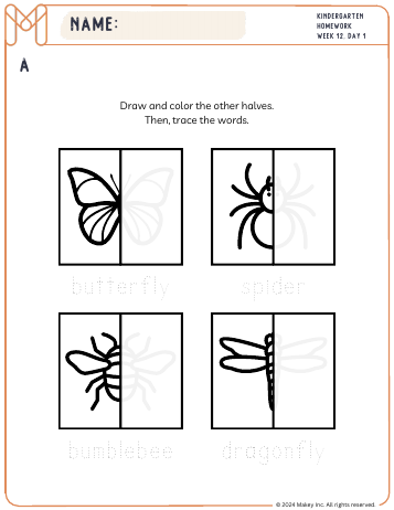 Bug Words & Wild Animal Words - kindergarten worksheet preview